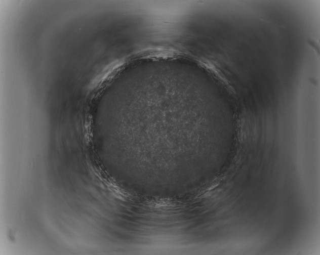 X0000101481399200807211348