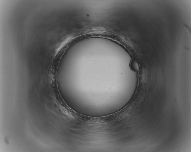 X0000101481400200807211348