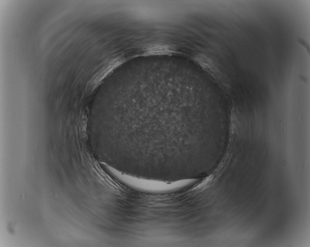 X0000101481401200807211348