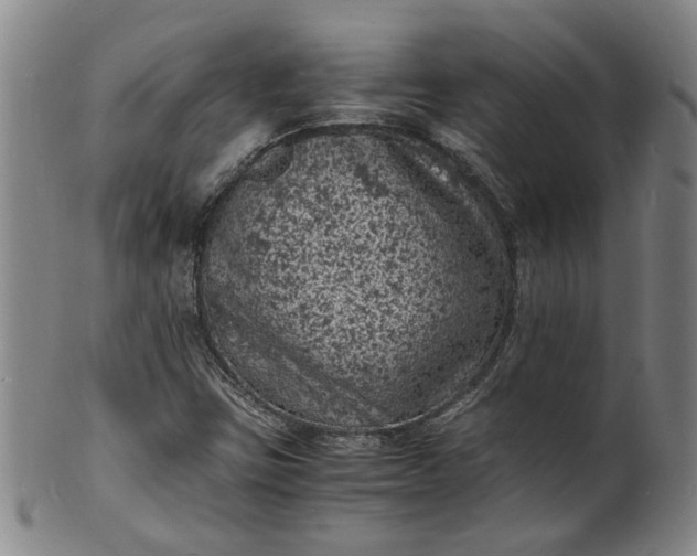 X0000101481403200807211348