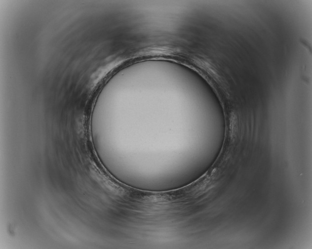 X0000101481404200807211348