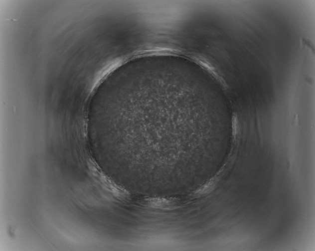 X0000101481405200807211348