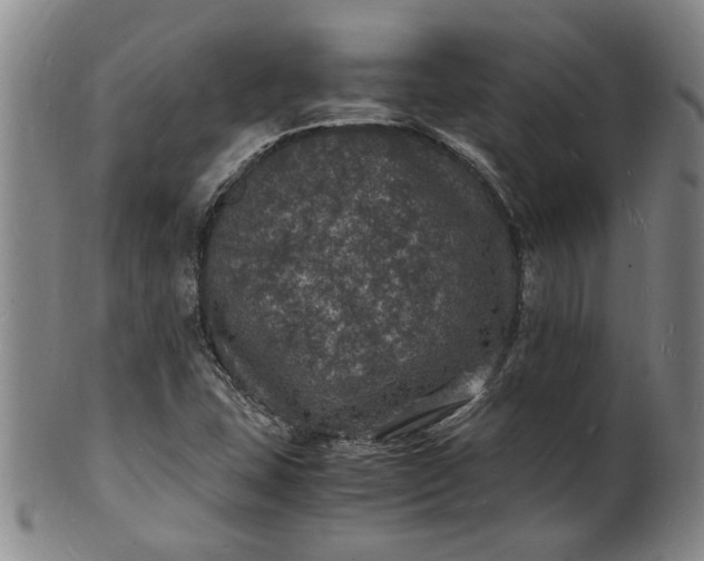 X0000101481407200807211348