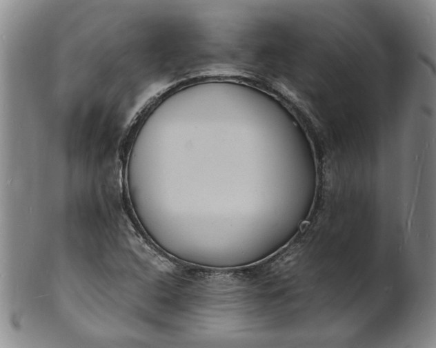 X0000101481408200807211348