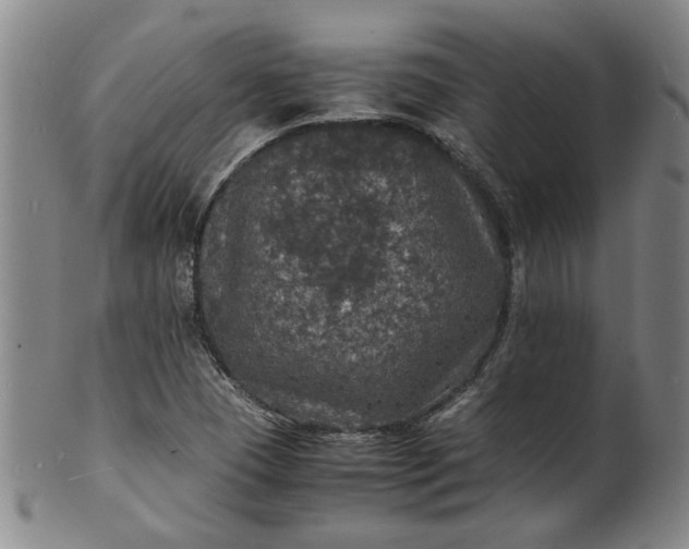 X0000101481409200807211348