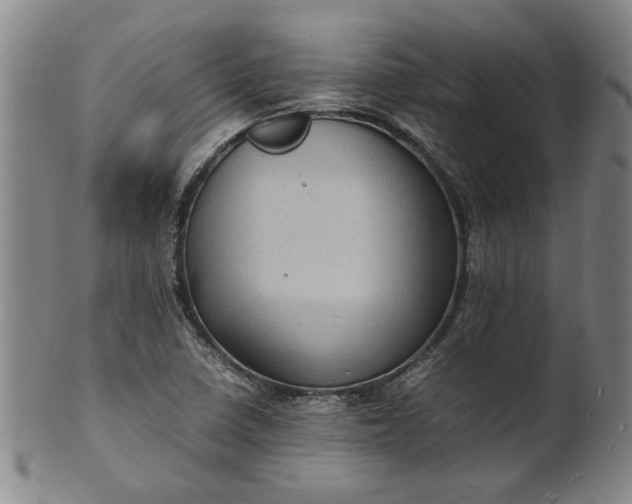 X0000101481410200807211348