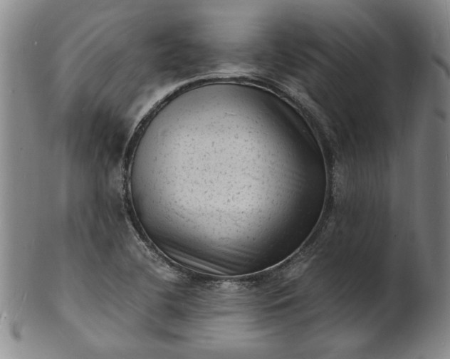 X0000101481412200807211348