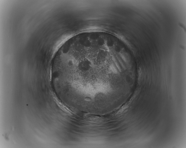 X0000101481413200807211348