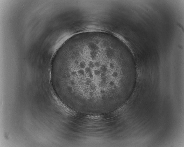 X0000101481415200807211348