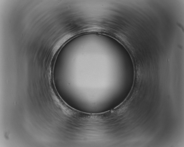 X0000101481418200807211348