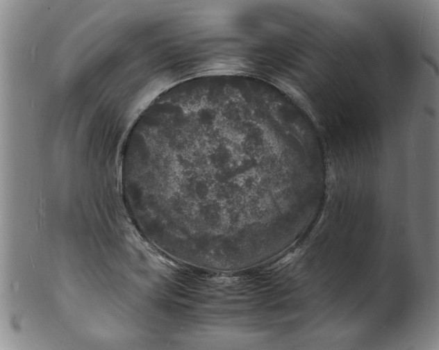 X0000101481419200807211348