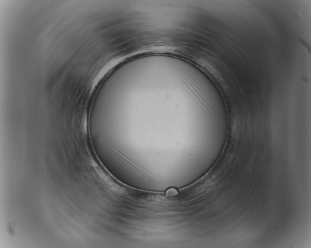 X0000101481420200807211349