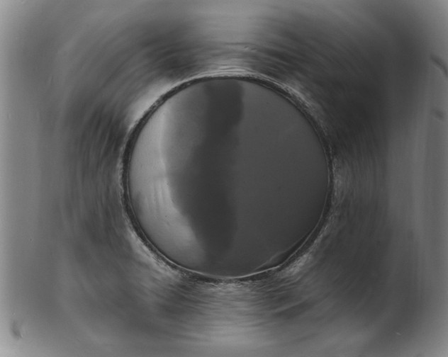 X0000101481422200807211349