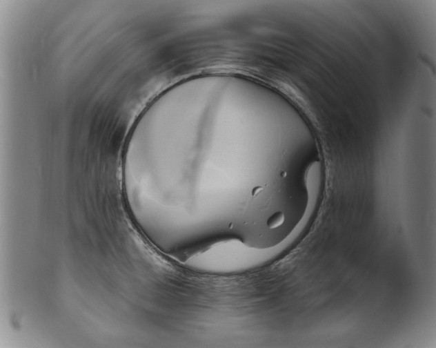 X0000101481428200807211349