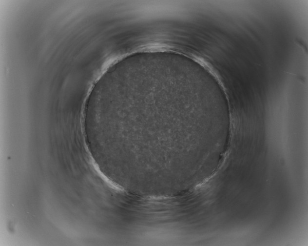 X0000101481429200807211349