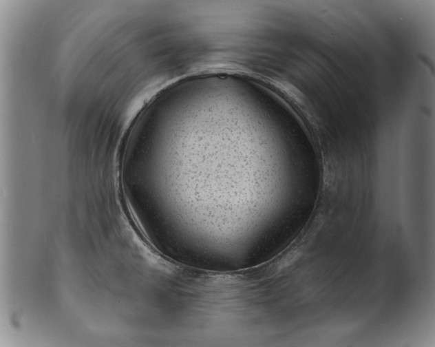 X0000101481430200807211349