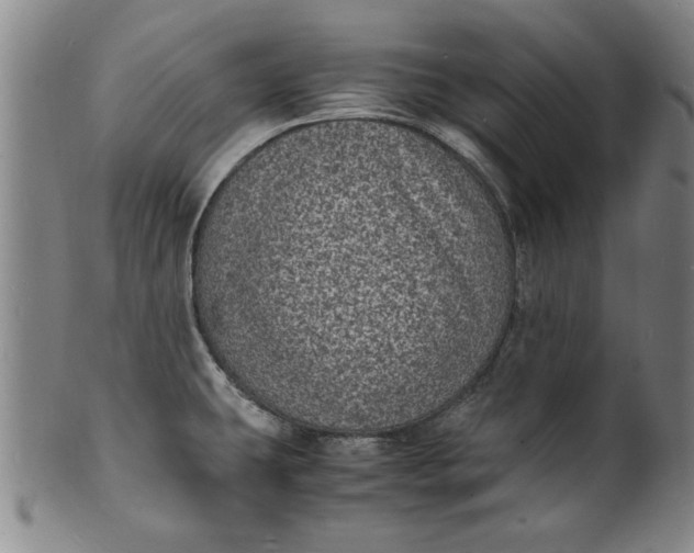 X0000101481431200807211349