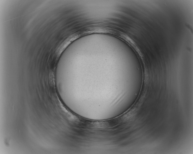 X0000101481433200807211349