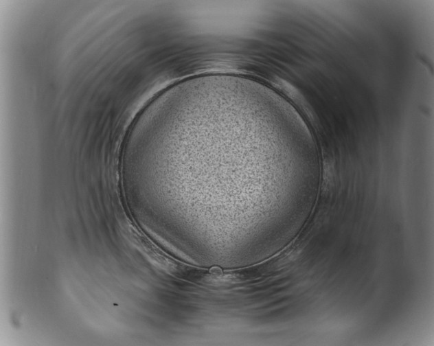 X0000101481435200807211349