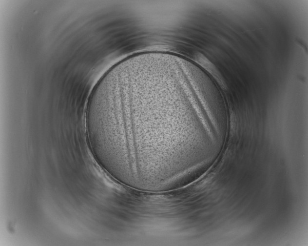 X0000101481436200807211349