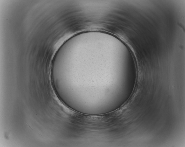 X0000101481437200807211349