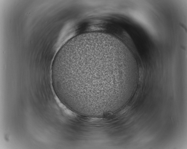 X0000101481439200807211349