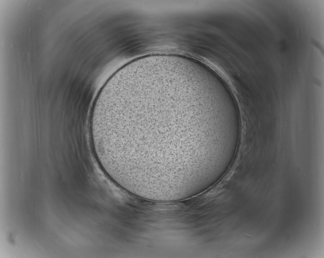 X0000101481440200807211349