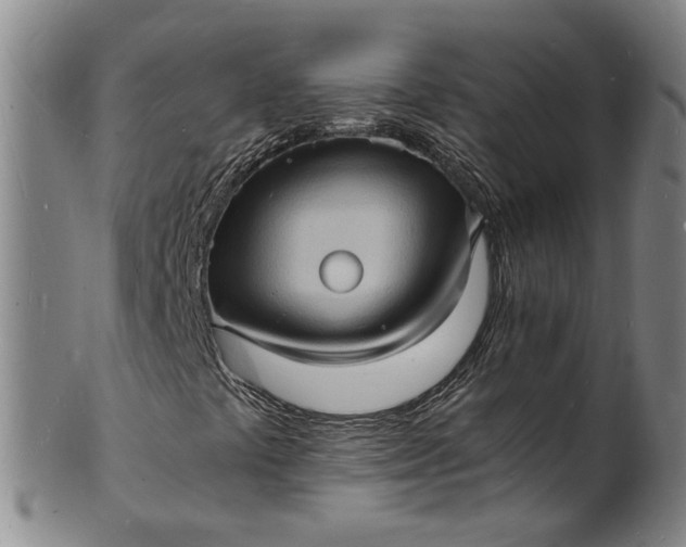 X0000101481441200807211348