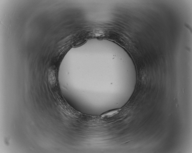 X0000101481442200807211348