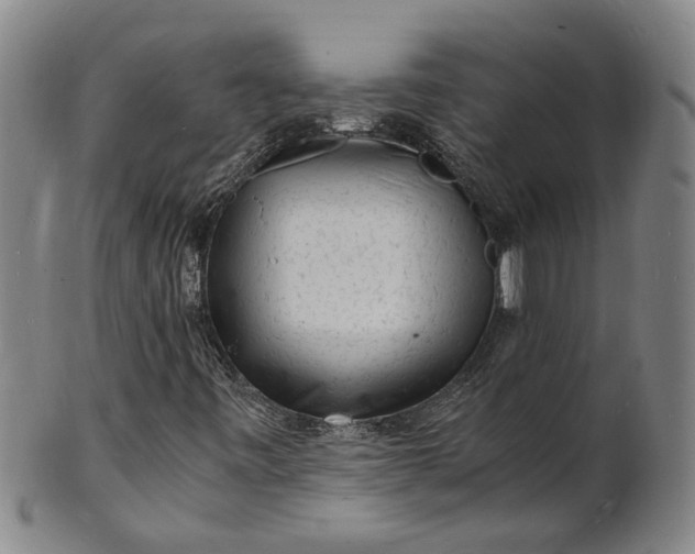 X0000101481443200807211348