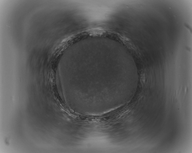 X0000101481445200807211348