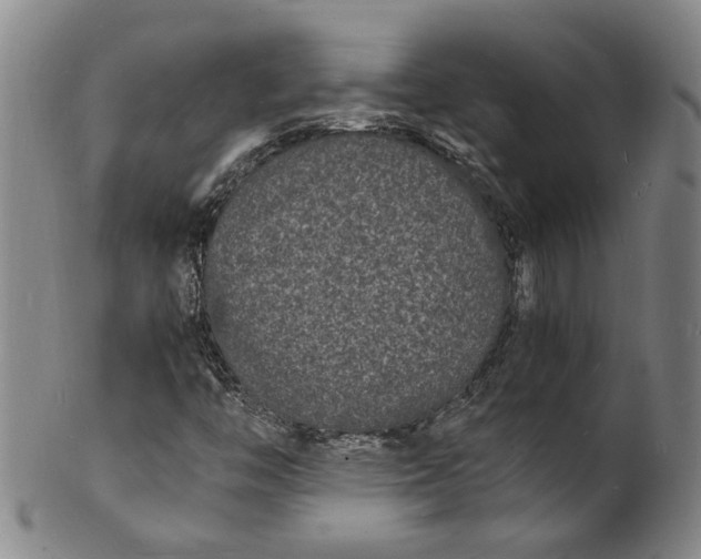 X0000101481446200807211348