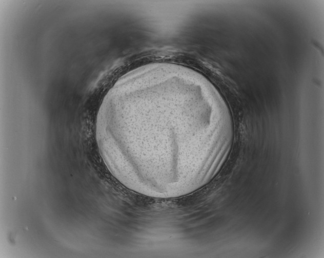 X0000101481447200807211348