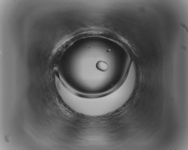 X0000101481448200807211348