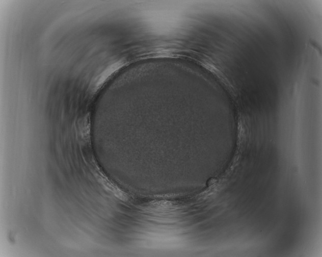 X0000101481450200807211348