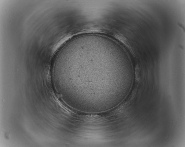 X0000101481452200807211348