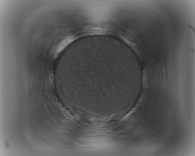 X0000101481453200807211348