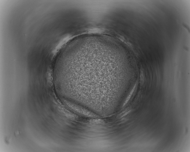 X0000101481454200807211348