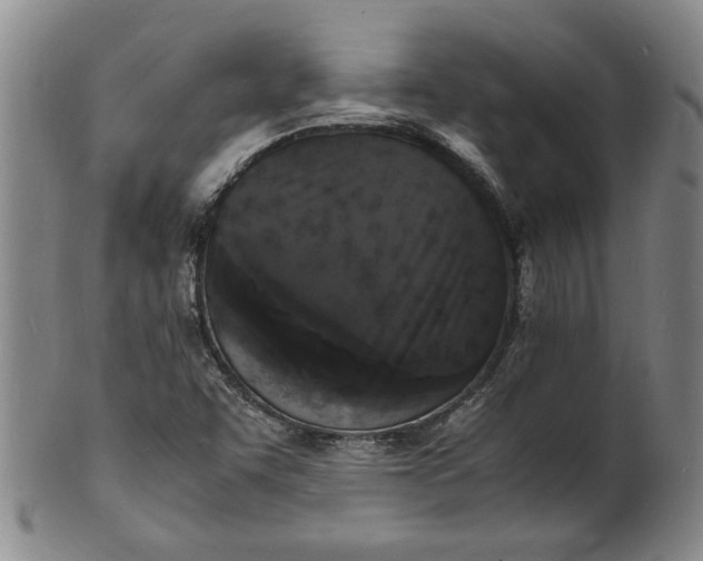 X0000101481455200807211348