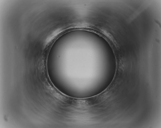 X0000101481456200807211348