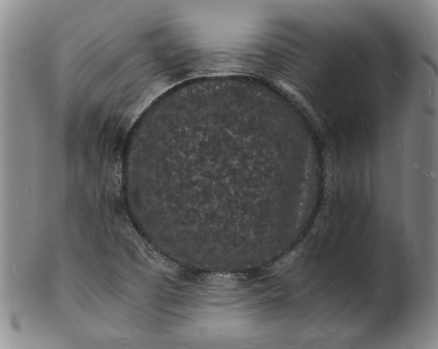 X0000101481457200807211348