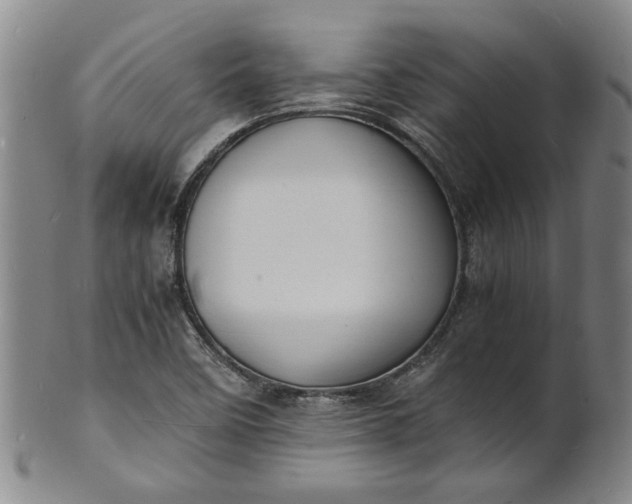 X0000101481458200807211348