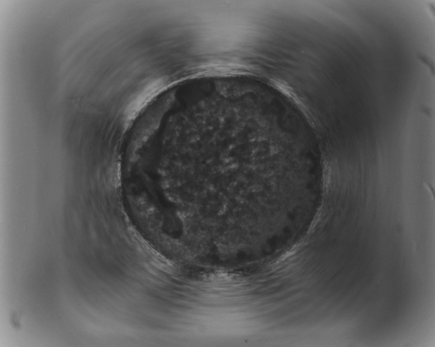 X0000101481459200807211348