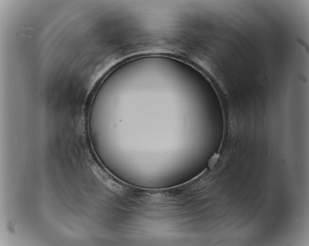 X0000101481460200807211348