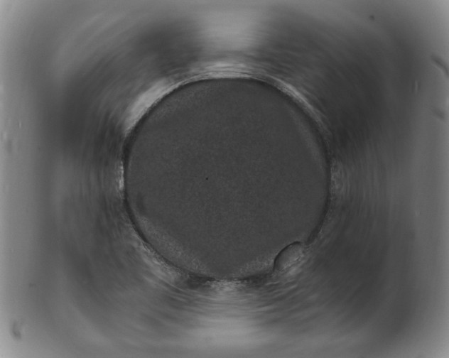 X0000101481461200807211348