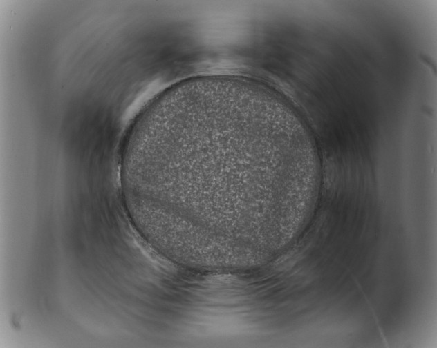 X0000101481462200807211348