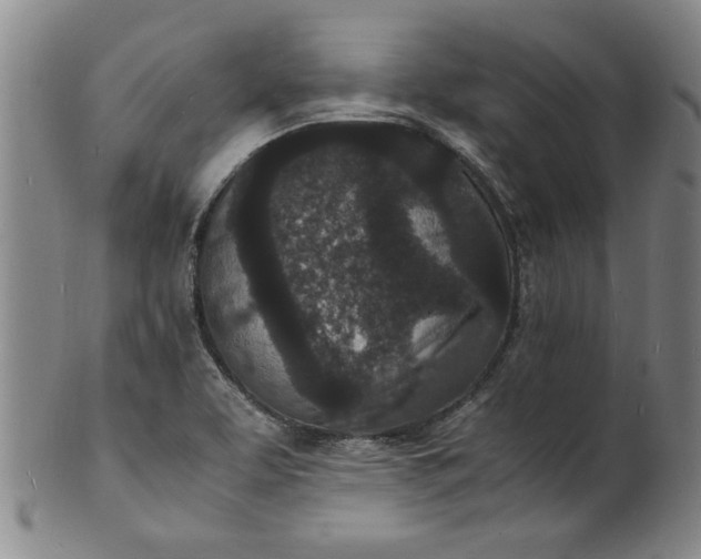 X0000101481463200807211348