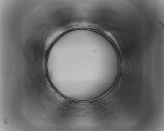 X0000101481464200807211348