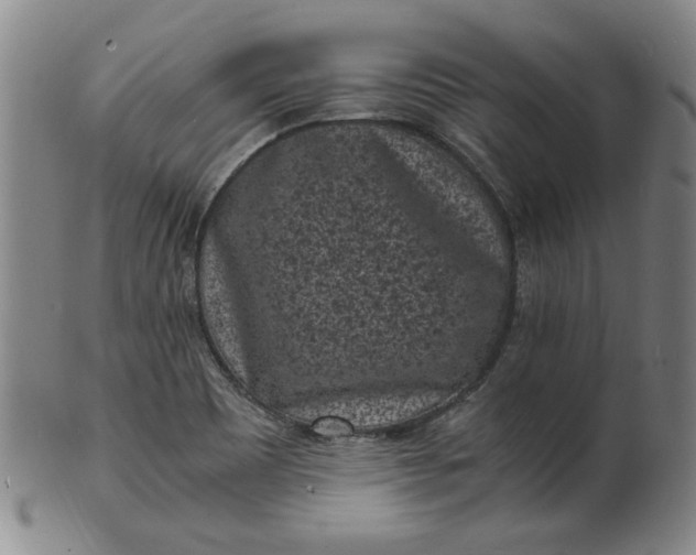 X0000101481465200807211348