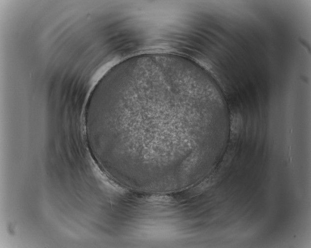 X0000101481466200807211348